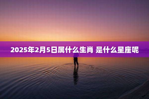 2025年2月5日属什么生肖 是什么星座呢