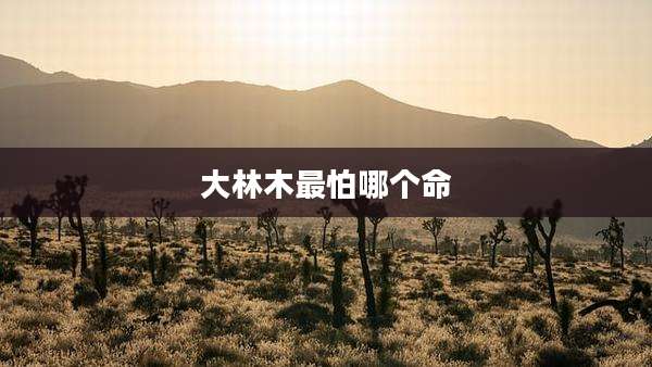 大林木最怕哪个命