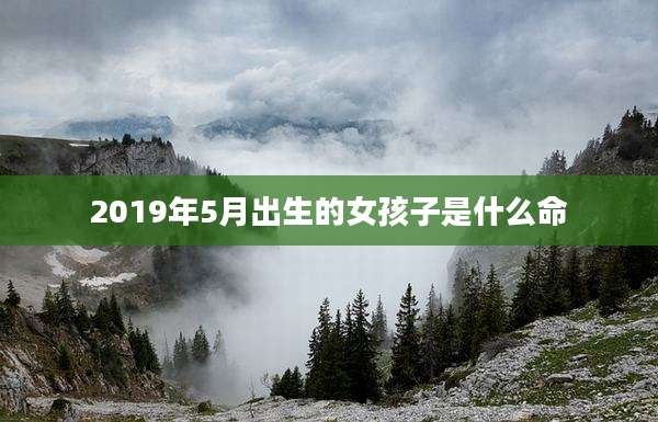 2019年5月出生的女孩子是什么命