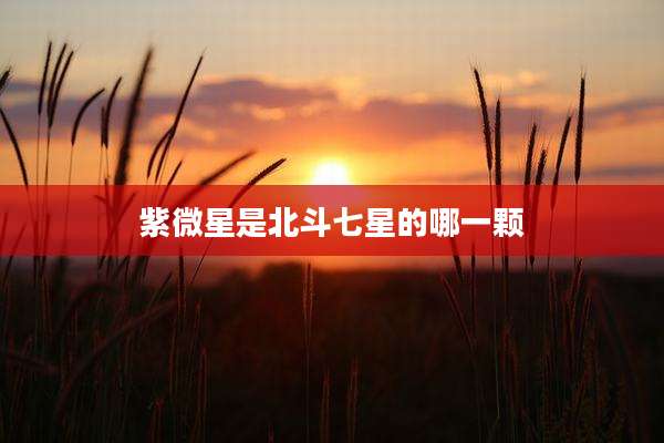 紫微星是北斗七星的哪一颗