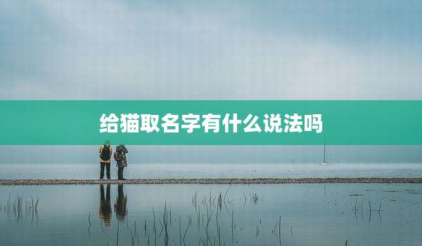 给猫取名字有什么说法吗