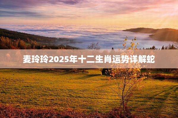 麦玲玲2025年十二生肖运势详解蛇