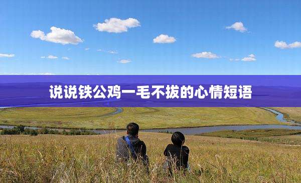 说说铁公鸡一毛不拔的心情短语