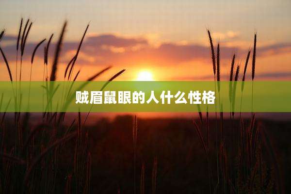 贼眉鼠眼的人什么性格