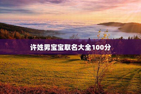 许姓男宝宝取名大全100分