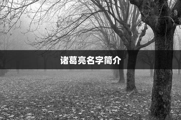 诸葛亮名字简介