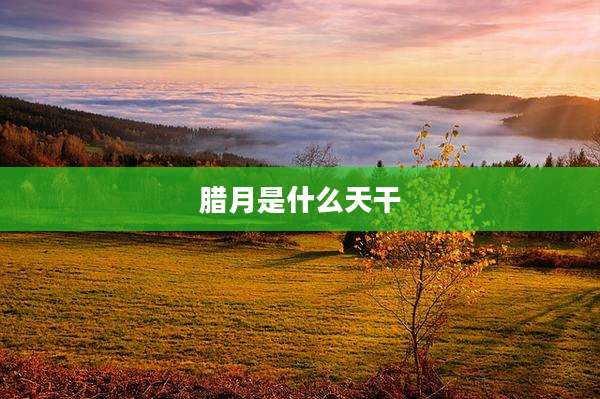 腊月是什么天干