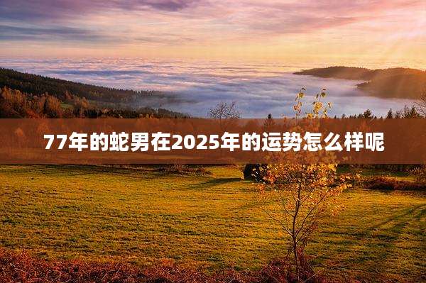 77年的蛇男在2025年的运势怎么样呢