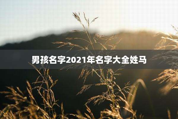 男孩名字2021年名字大全姓马