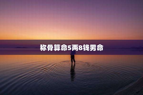 称骨算命5两8钱男命
