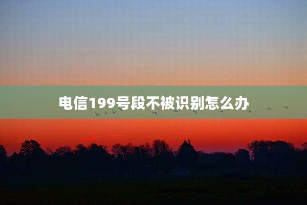电信199号段不被识别怎么办