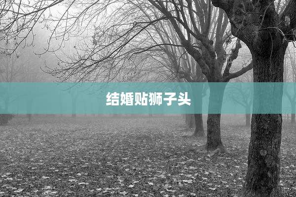 结婚贴狮子头