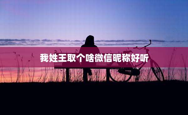 我姓王取个啥微信昵称好听