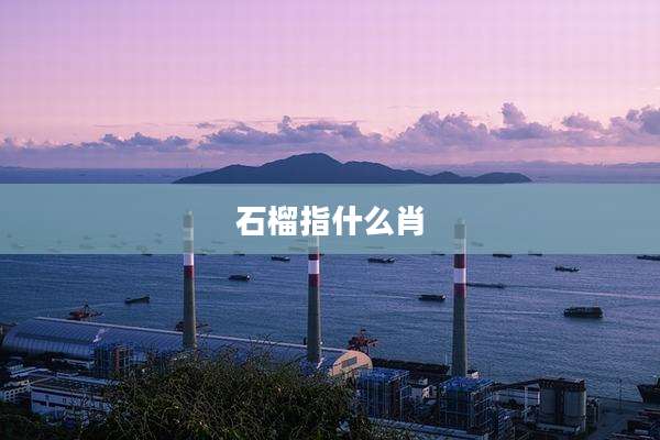 石榴指什么肖