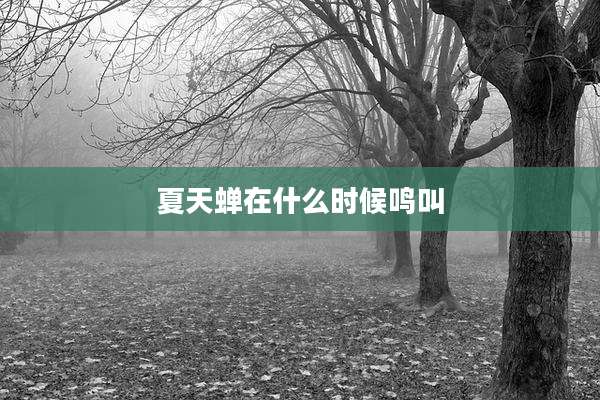 夏天蝉在什么时候鸣叫