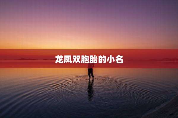 龙凤双胞胎的小名