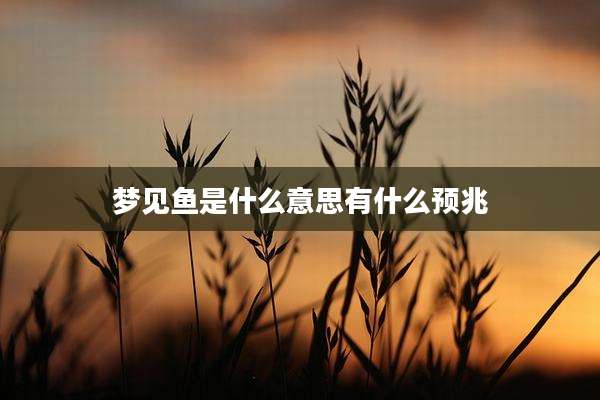 梦见鱼是什么意思有什么预兆