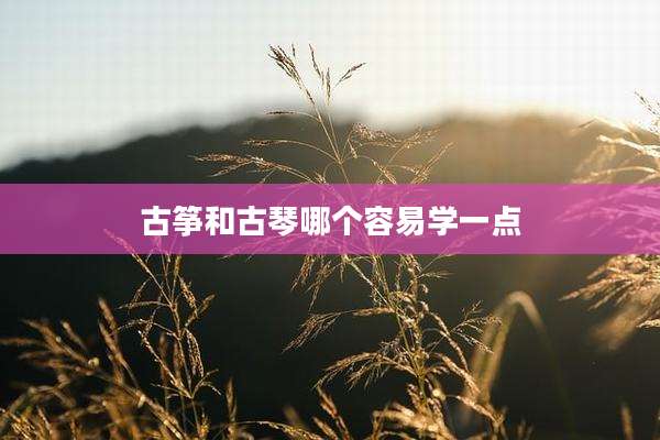 古筝和古琴哪个容易学一点