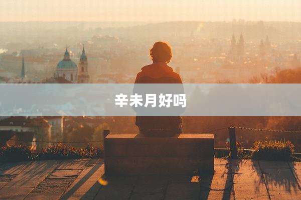 辛未月好吗