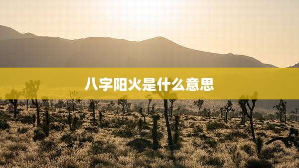 八字阳火是什么意思