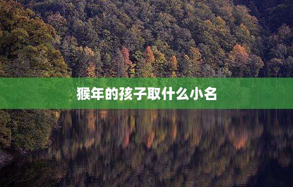 猴年的孩子取什么小名