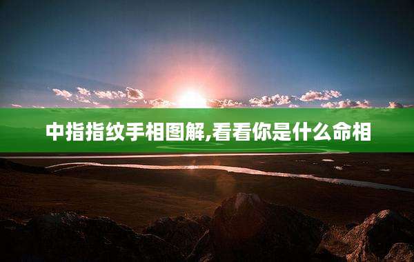 中指指纹手相图解,看看你是什么命相