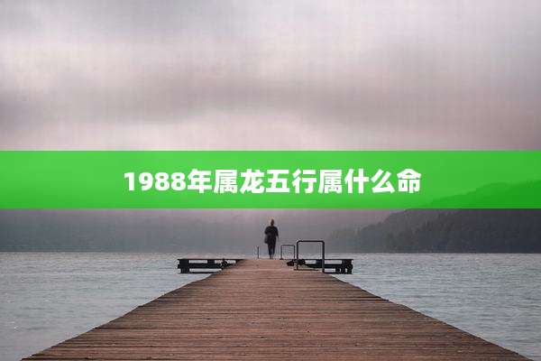 1988年属龙五行属什么命
