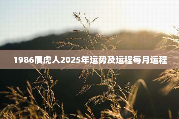 1986属虎人2025年运势及运程每月运程