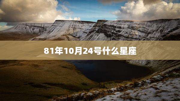 81年10月24号什么星座