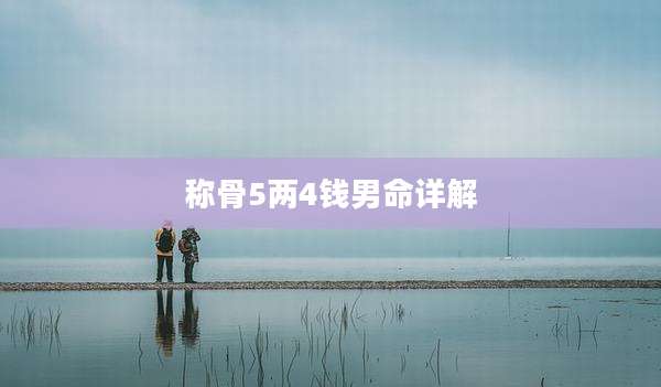称骨5两4钱男命详解