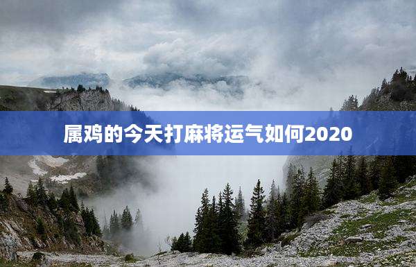 属鸡的今天打麻将运气如何2020