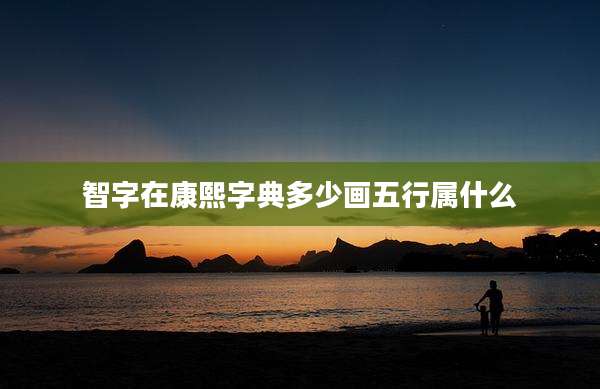 智字在康熙字典多少画五行属什么