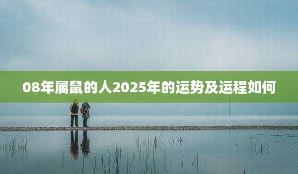 08年属鼠的人2025年的运势及运程如何