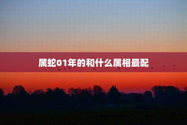 属蛇01年的和什么属相最配