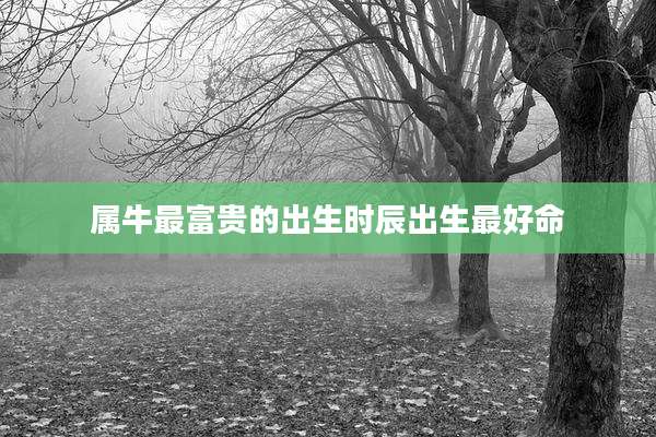 属牛最富贵的出生时辰出生最好命