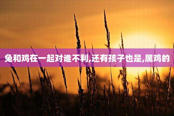 兔和鸡在一起对谁不利,还有孩子也是,属鸡的