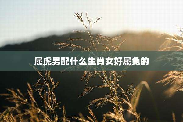 属虎男配什么生肖女好属兔的