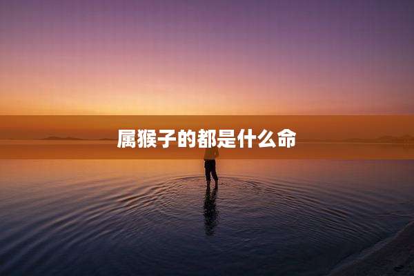 属猴子的都是什么命