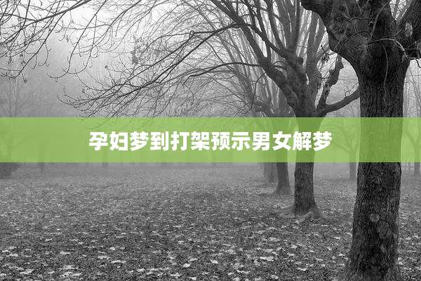 孕妇梦到打架预示男女解梦