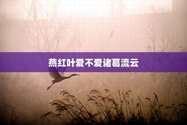 燕红叶爱不爱诸葛流云