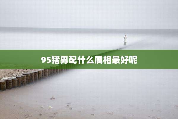 95猪男配什么属相最好呢
