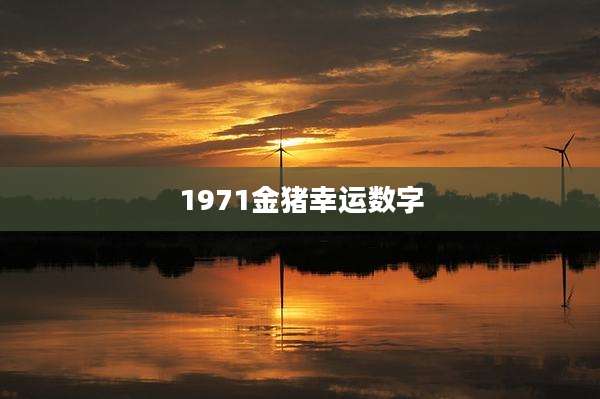 1971金猪幸运数字