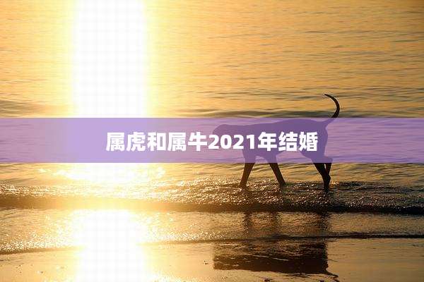 属虎和属牛2021年结婚