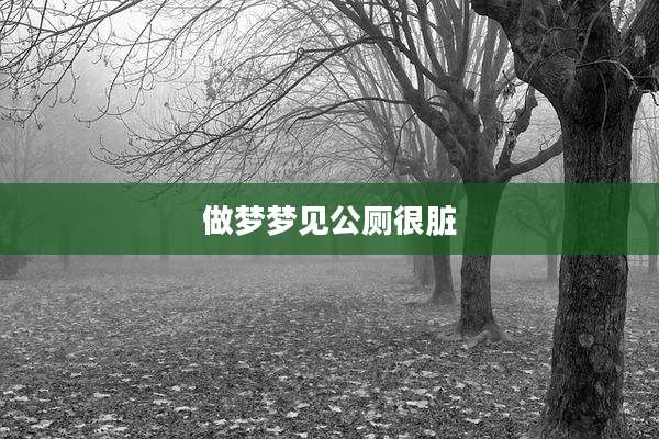 做梦梦见公厕很脏