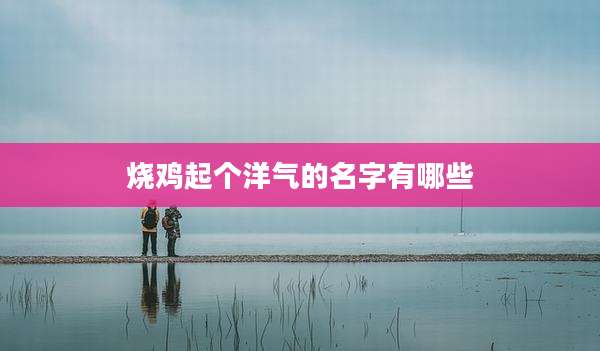 烧鸡起个洋气的名字有哪些