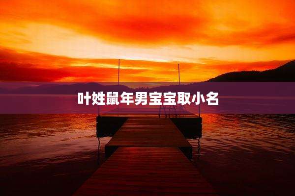 叶姓鼠年男宝宝取小名
