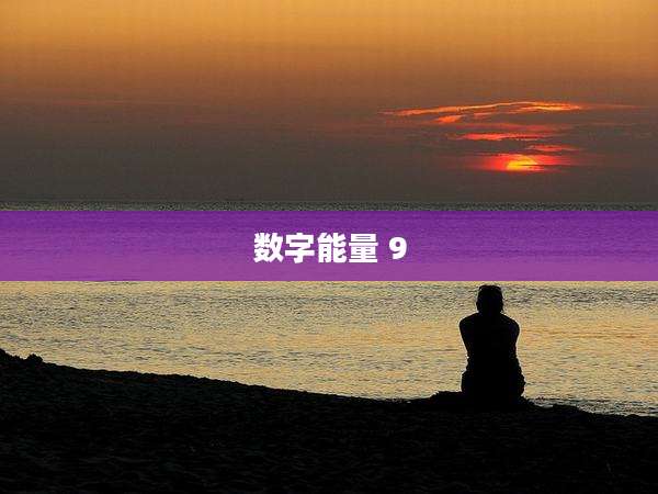 数字能量 9