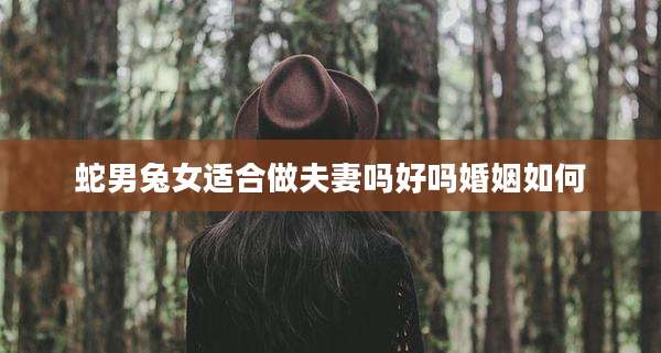 蛇男兔女适合做夫妻吗好吗婚姻如何