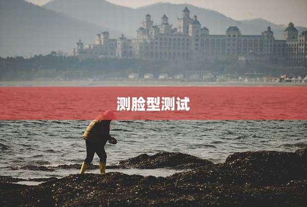 测脸型测试
