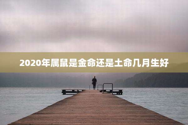 2020年属鼠是金命还是土命几月生好